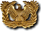 Eagle Rising