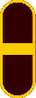 Warrant officer insignia
